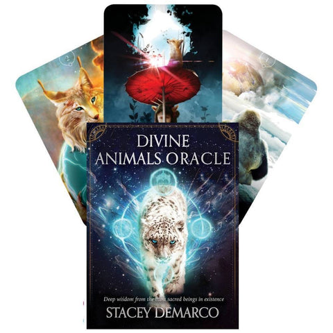 Divine Animals Oracle cards Rockpool