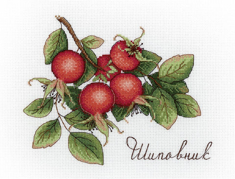 Dogrose SNV-630 cross stitch kit by MP Studio