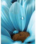 Diamond Painting Kit Blue Drop WD020