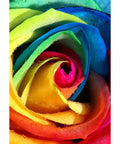 Diamond Painting Kit Rainbow Rose WD023