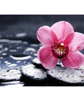 Diamond Painting Kit Orchid Wanda WD035