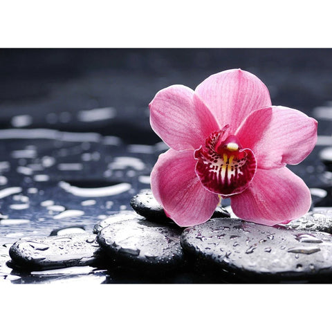 Diamond Painting Kit Orchid Wanda WD035