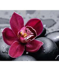Diamond Painting Kit Royal Orchid WD036