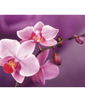 Diamond Painting Kit Branch of Orchids WD038