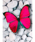 Diamond Painting Kit Pink Butterfly WD054