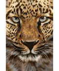Diamond painting kit WD069 20x30 cm - Hobby.lt