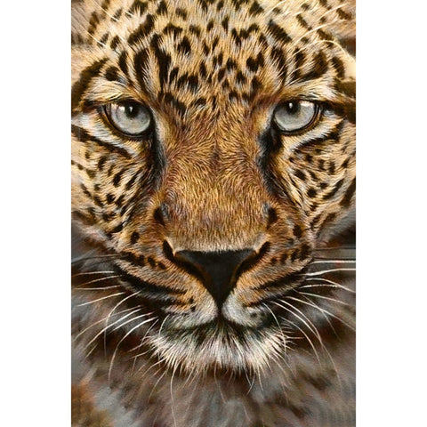 Diamond painting kit WD069 20x30 cm - Hobby.lt
