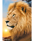 Diamond Painting Kit Lion King WD070