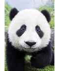 Diamond Painting Kit Curious Panda WD074