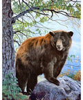 Diamond Painting Kit Brown Bear WD083
