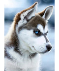 Diamond Painting Kit Snow Dog WD088