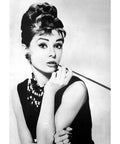 Diamond Painting Kit Audrey Hepburn WD132