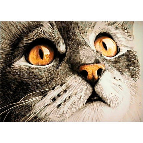 Diamond painting kit Surprise WD215 - Hobby.lt