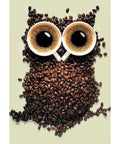 Diamond painting kit Coffee Owl WD242 - Hobby.lt