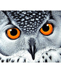 Diamond painting kit Owl's Look WD243 - Hobby.lt