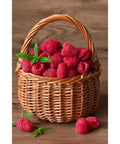 Diamond painting kit Raspberry Basket WD252 - Hobby.lt