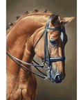 Diamond painting kit Horse Jumping WD256 - Hobby.lt