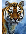 Diamond painting kit WD309 30x40 cm - Hobby.lt