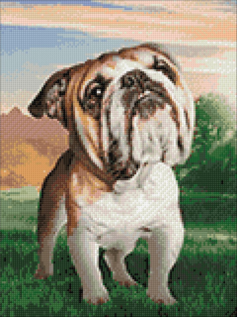 Dreaming Dog Diamond Painting Set CS2537