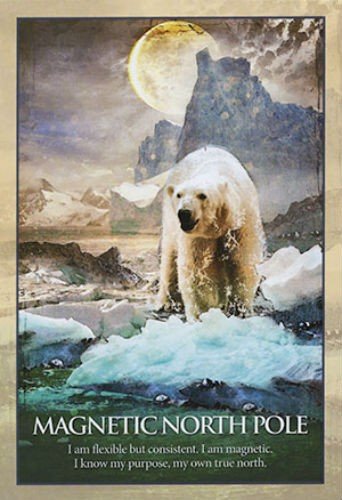 Earth Power Oracle cards Blue Angel - Hobby.lt 🇬🇧