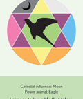 Enchanted Animal Oracle Cards Animal Dreaming - Hobby.lt 🇬🇧