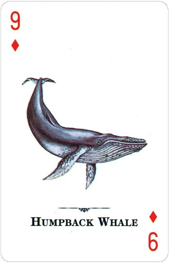 Endangered Species of the Natural World playing cards