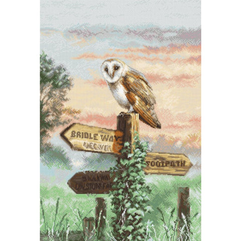 Barn Owl Cross Stitch Kit, LetiStitch