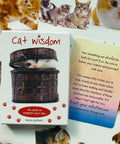 Cat Wisdom cards Blue Angel