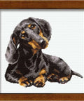 Daschound Cross Stitch Kit RIOLIS 906