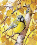 Cross Stitch Embroidery Kit with Tit Bird Design, Andriana