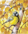 Cross Stitch Embroidery Kit with Tit Bird Design, Andriana