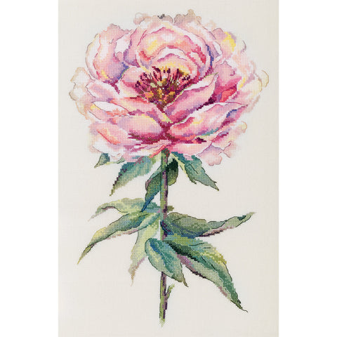 Cross Stitch Embroidery Kit Peony Design, PANNA