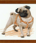 Pug Dog - Cross Stitch Kit from RIOLIS Ref. no.:1176