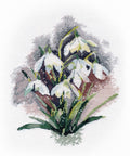 Cross Stitch Embroidery Kit Snowdrops, Oven