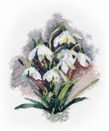 Cross Stitch Embroidery Kit Snowdrops, Oven