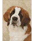 St. Bernard pup 30x40 Diamond Painting Set CS2416