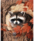 Racoon in the Tree Diamond Painting Set CS2561