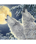 2 Wolves Diamond Painting Set CS2565