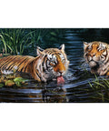 Tigers Diamond Painting Set CS2569