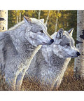 Wolves Diamond Painting Set CS2570