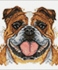 Bulldog 20x20 Diamond Painting Set CS2718