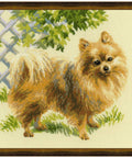 Pomeranian - Cross Stitch Kit from RIOLIS Ref. no.:1585