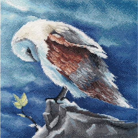Owl Cross Stitch Kit, Oven