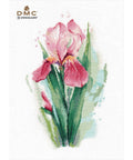 Pink Iris Cross Stitch Kit, Oven