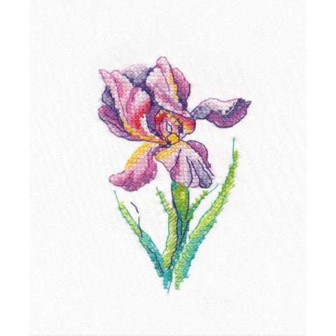 Rainbow Flower Cross Stitch Kit, Oven