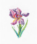 Rainbow Flower Cross Stitch Kit, Oven