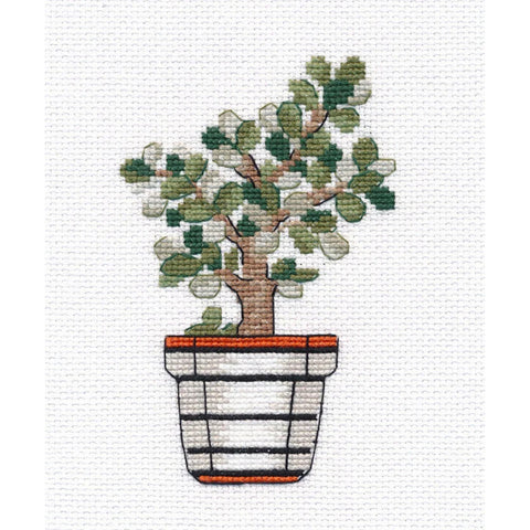 Crassula Cross Stitch Kit with 18 Count Canvas, 11 Colors, Complete Kit, 7 × 11, Oven