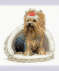 Yorkshire Terrier Rendezvous RIOLIS 2152