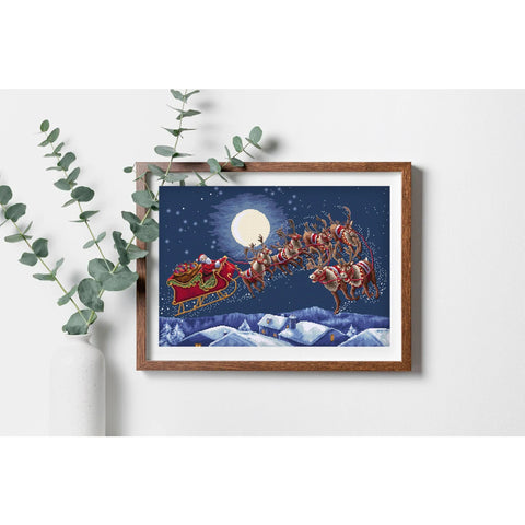 Christmas Cross Stitch Kit Winter Night Flight Letistitch