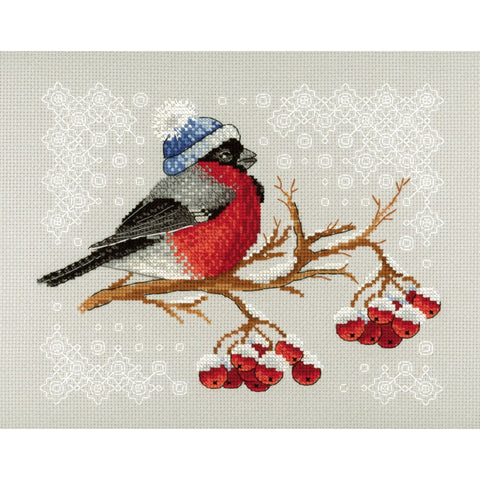 Winter Colours SNV-642 MP Studio